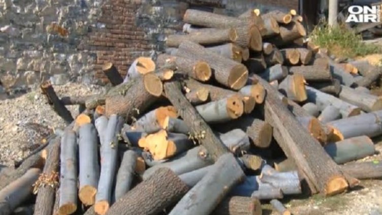 Снимка: bgonair.bg