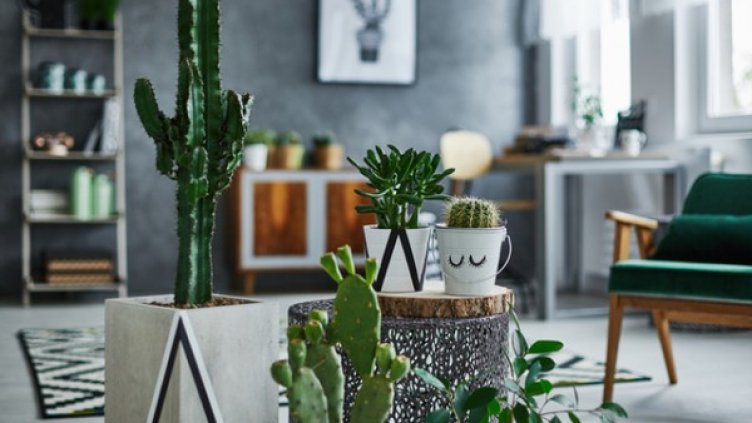 Снимка: Istock