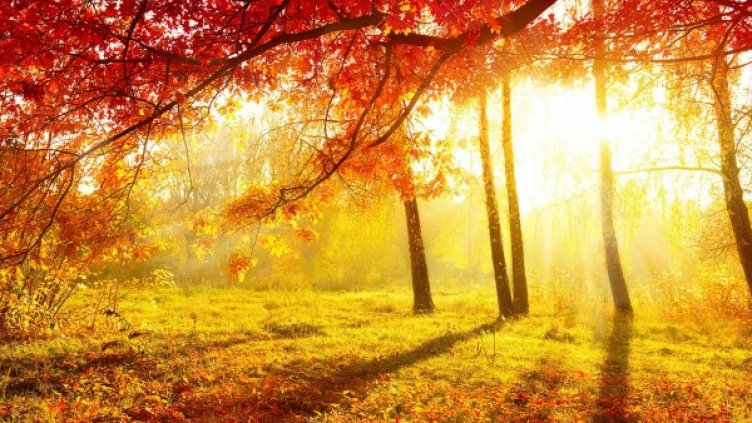 Снимка: flickr