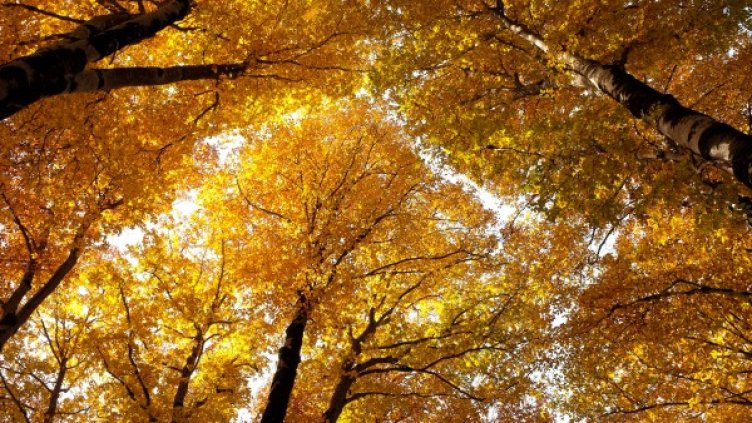 Снимка: Reuters, архив