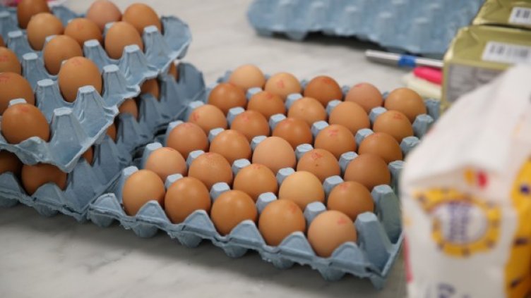 Снимка: Reuters, архив