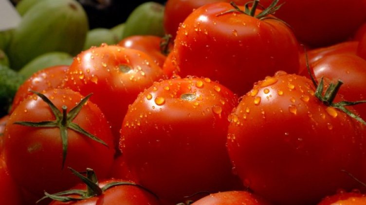 Снимка: архив, БулФото