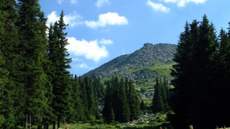 Архив: Булфото