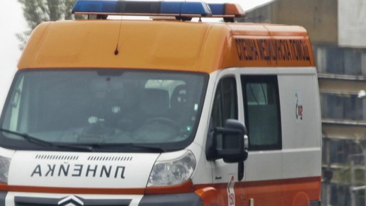 Снимка: Архив, Булфото