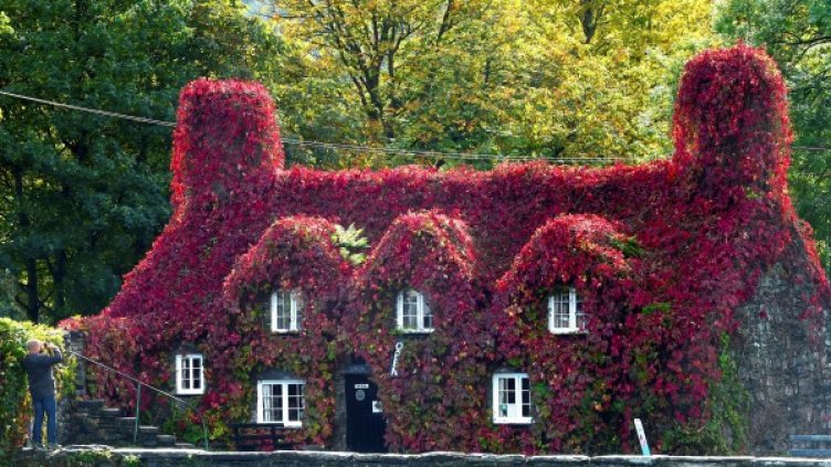 Снимка: Reuters, архив