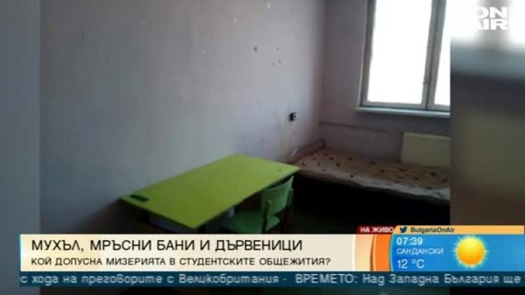 Общежитие мое, ад мой: Проблемите на първокурсниците