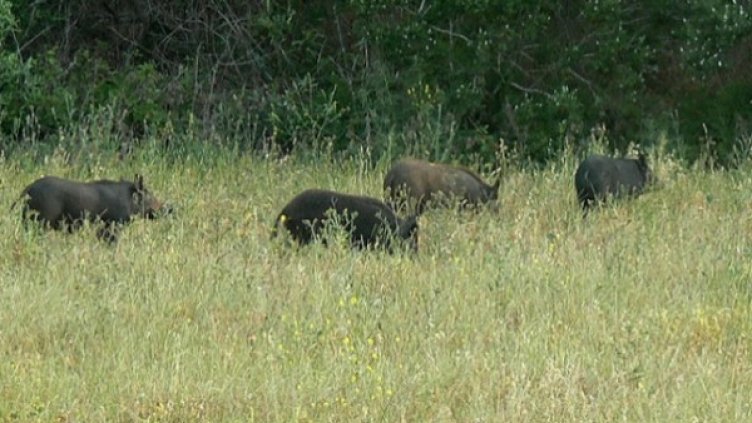 Снимка: flickr