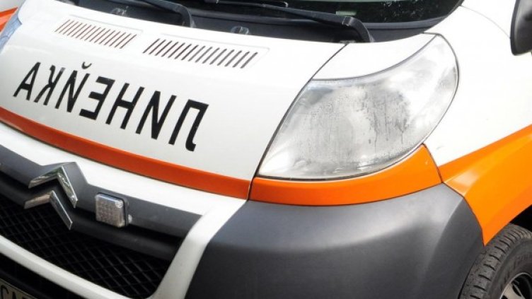 Снимка: Архив, Булфото