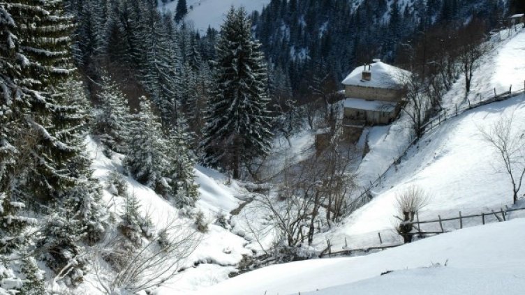 Снимка: архив, БулФото