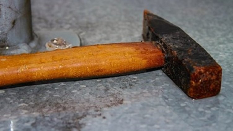 Снимка: Pixabay