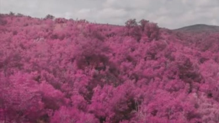 Снимка: Bulgaria ON AIR