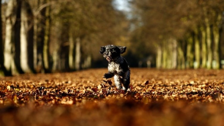 Снимкa: Reuters, архив