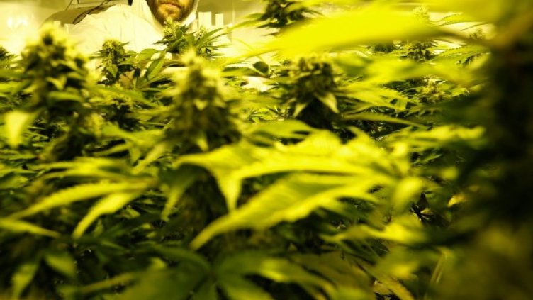 Снимкa: Reuters, архив