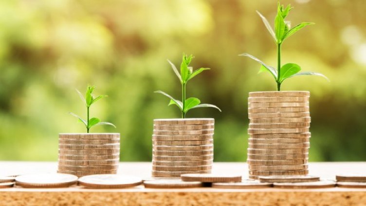 Снимка: pixabay.com