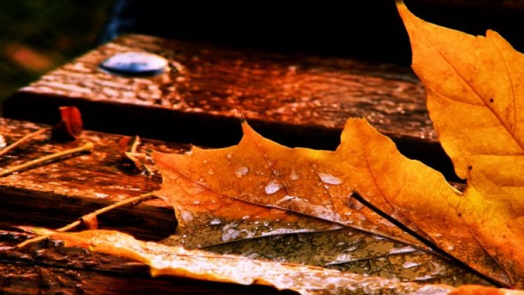 Снимка: flickr