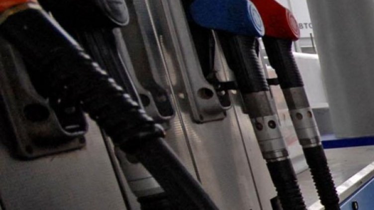 Снимка: Булфото