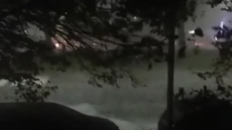 Снимка: Bulgaria ON AIR