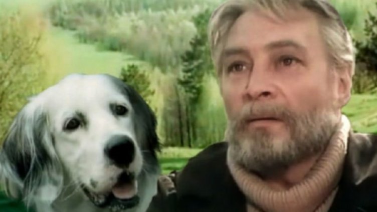 Снимка: Bulgaria ON AIR