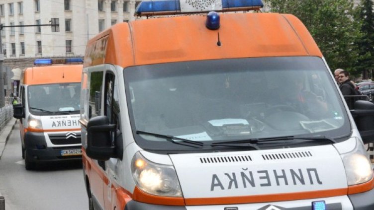 Снимка: Булфото, архив