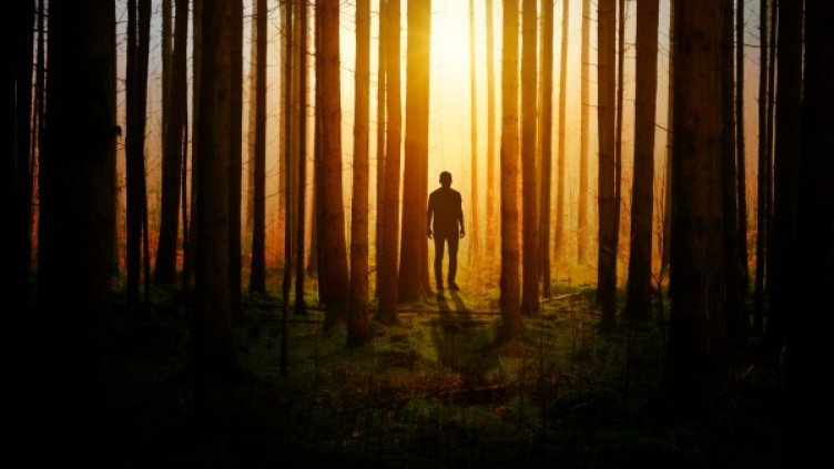 Снимка: Pexels