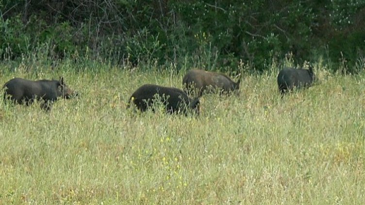 Снимка: flickr