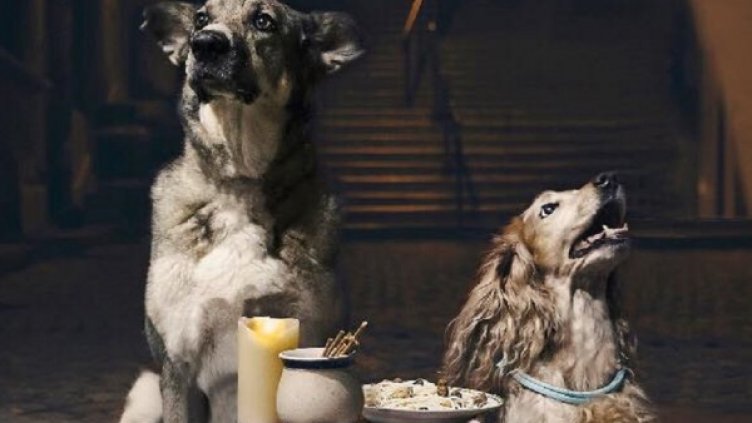 Автор: Гергана Курукювлиева