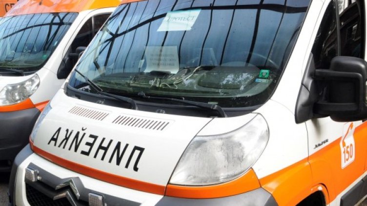 Снимка: Булфото