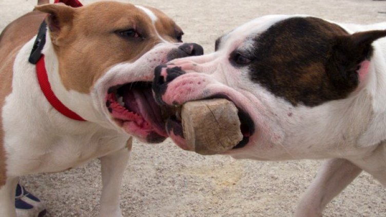 Снимкa: Reuters, архив