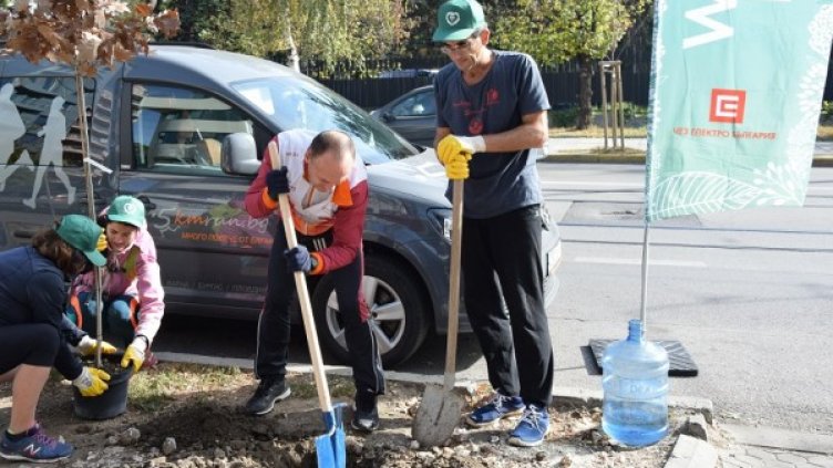 Още 375 дръвчета ще засади ЧЕЗ Електро по време на инициативата We Do Green