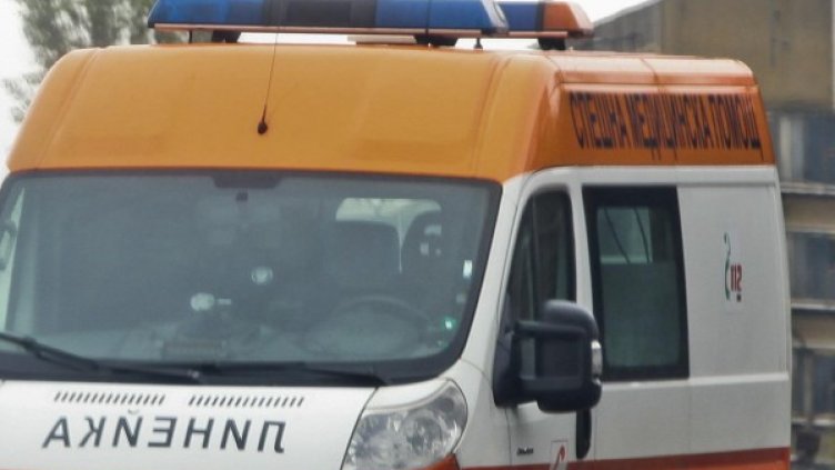 Снимка: Архив, Булфото