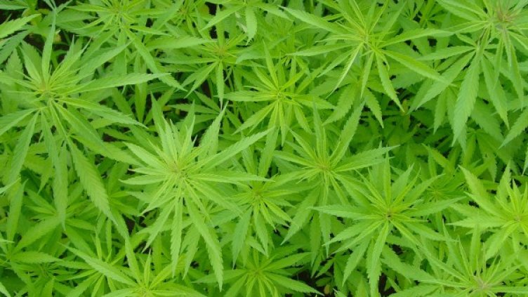 Архив: Булфото