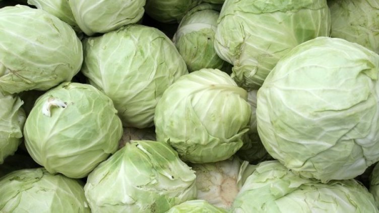 Архив: Булфото