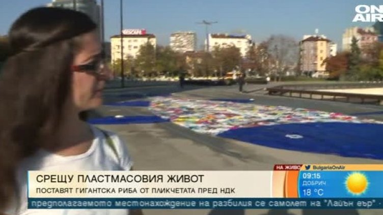 Риба от найлон &ndash; за да осъзнаем колко замърсяваме 