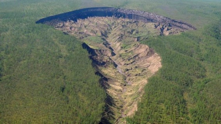 Снимка: Research Institute of Applied Ecology of the North