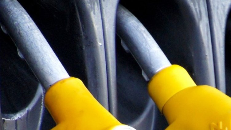 Снимка: pixabay.com