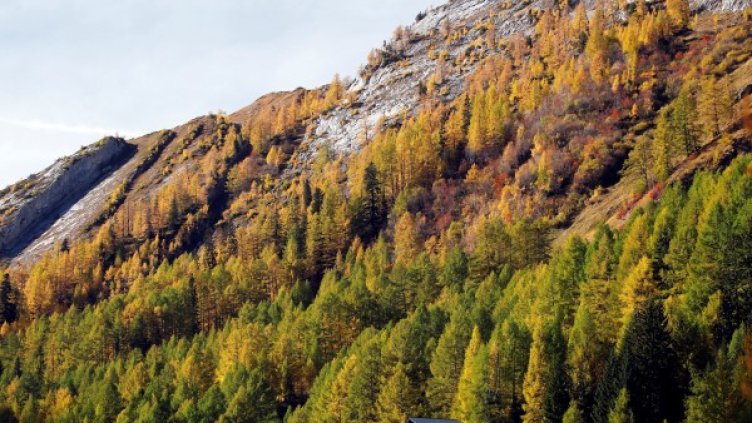 Снимка: Reuters