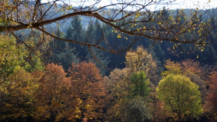 Снимка: архив, БТА