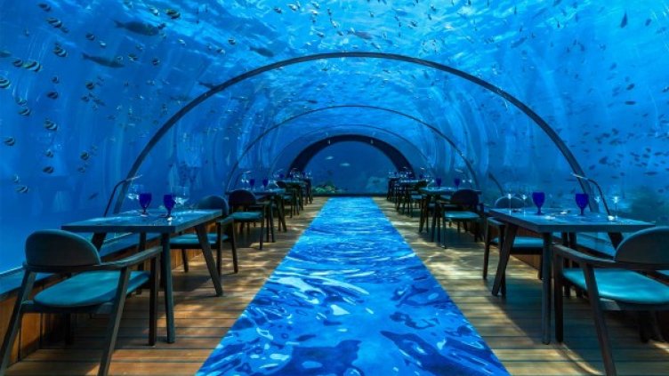 "Без будилник": Къде да хапнете? Но може да е екстремно!