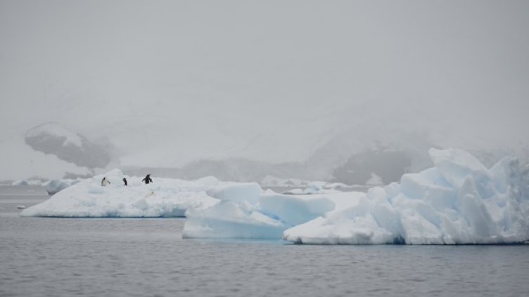 Кухнята на климатични промени: Учени на полярна мисия