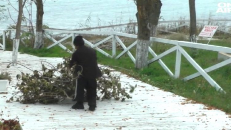 Снимка: Bulgaria ON AIR