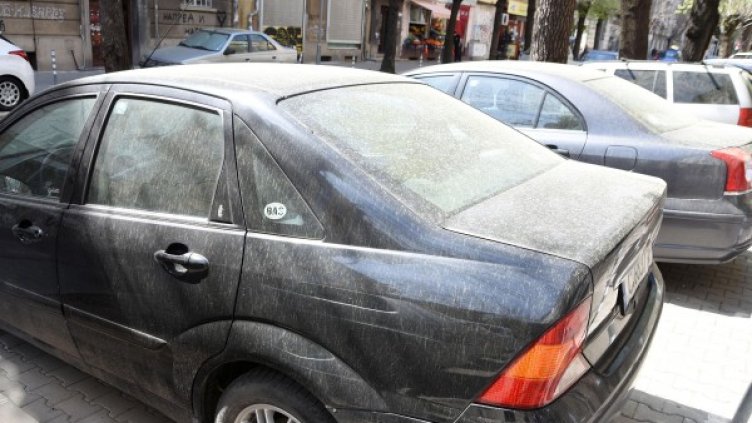 Снимка: Булфото