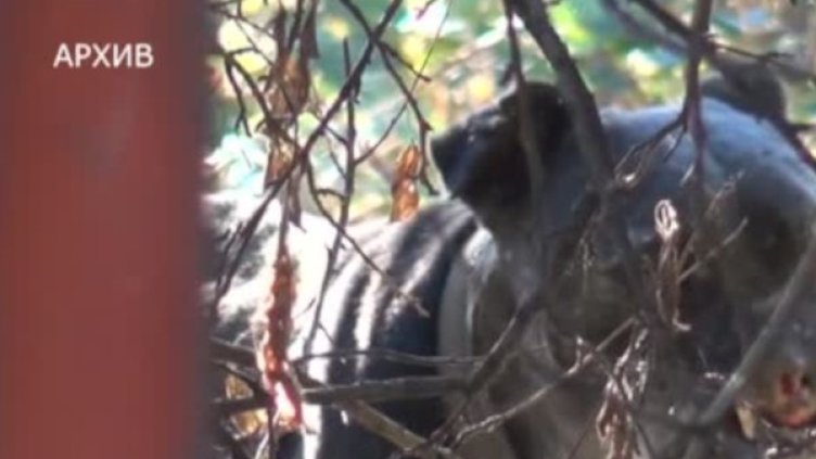 Снимка: Bulgaria ON AIR