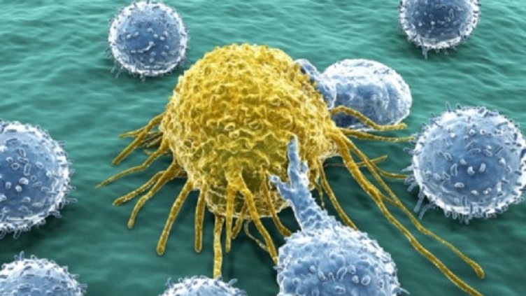 Снимка: Getty Images