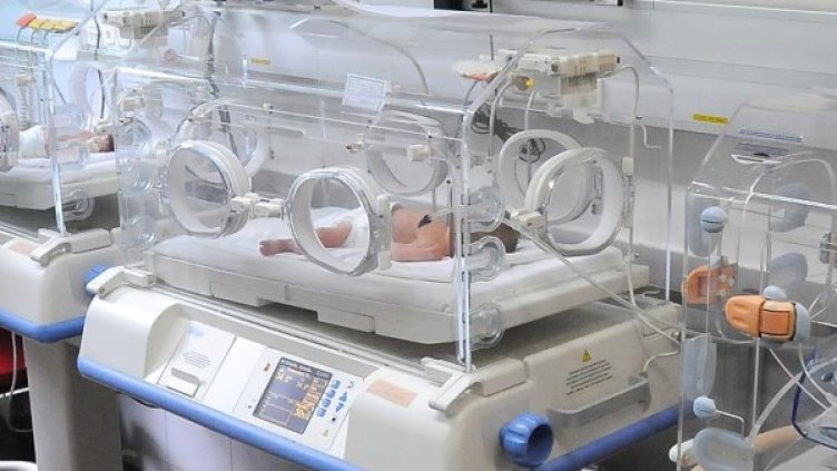 Снимка: архив, БулФото