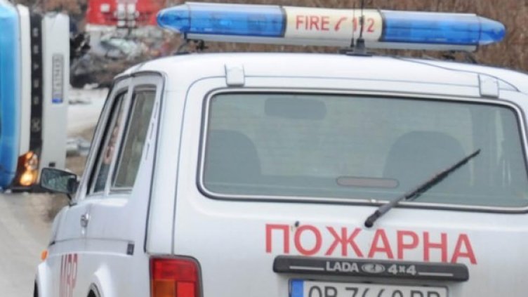 Снимка: Булфото, архив