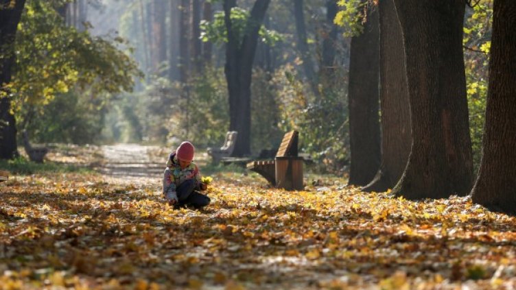 Снимкa: Reuters, архив