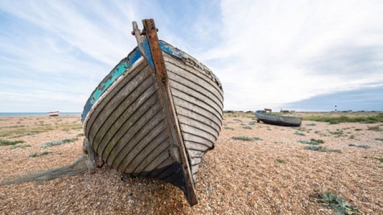 Снимка: Getty Images