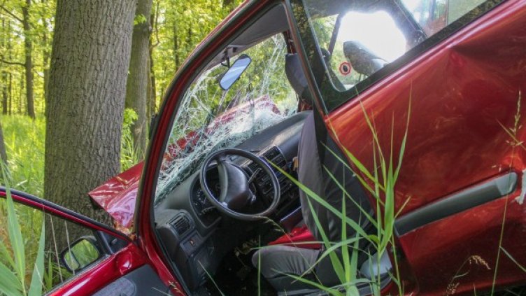 Снимка: pixabay.com