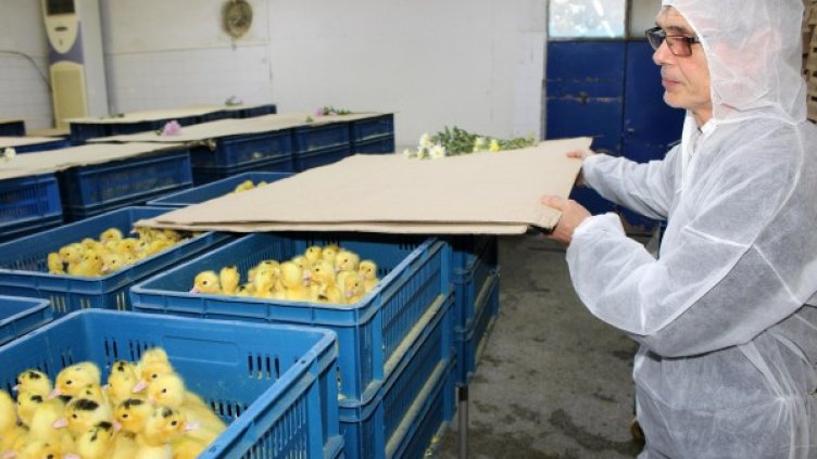 Снимка: BulFoto