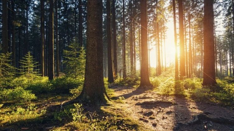 Снимка: Getty Images